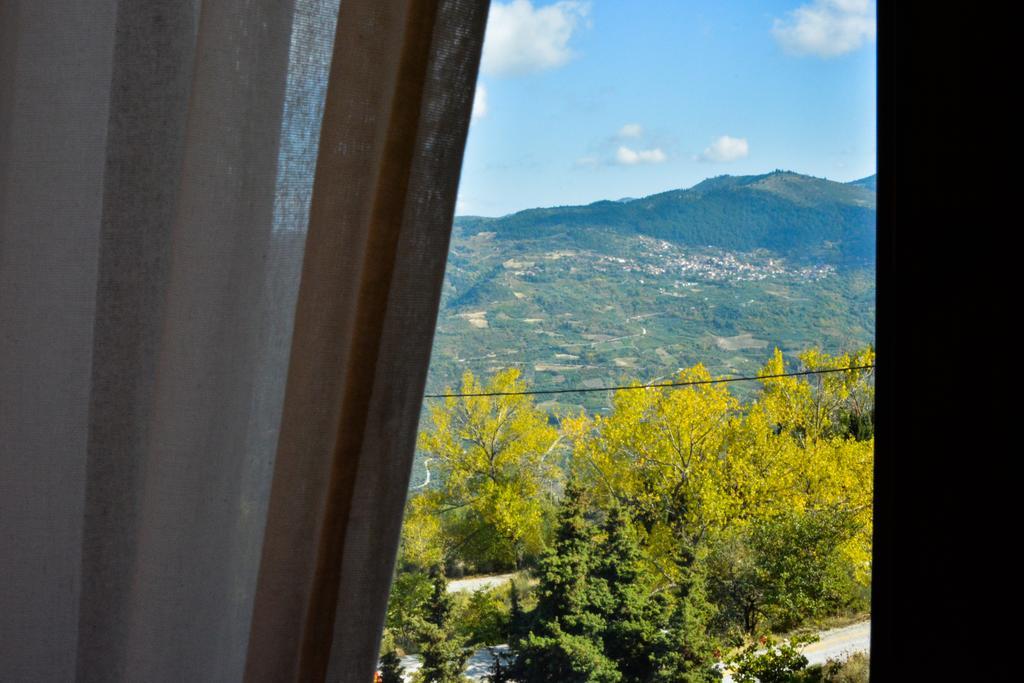 Nymfes Guesthouse Synikia Mesi Trikalon 객실 사진
