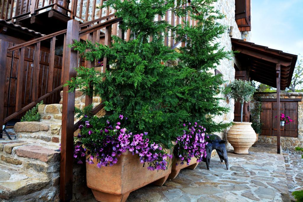 Nymfes Guesthouse Synikia Mesi Trikalon 외부 사진