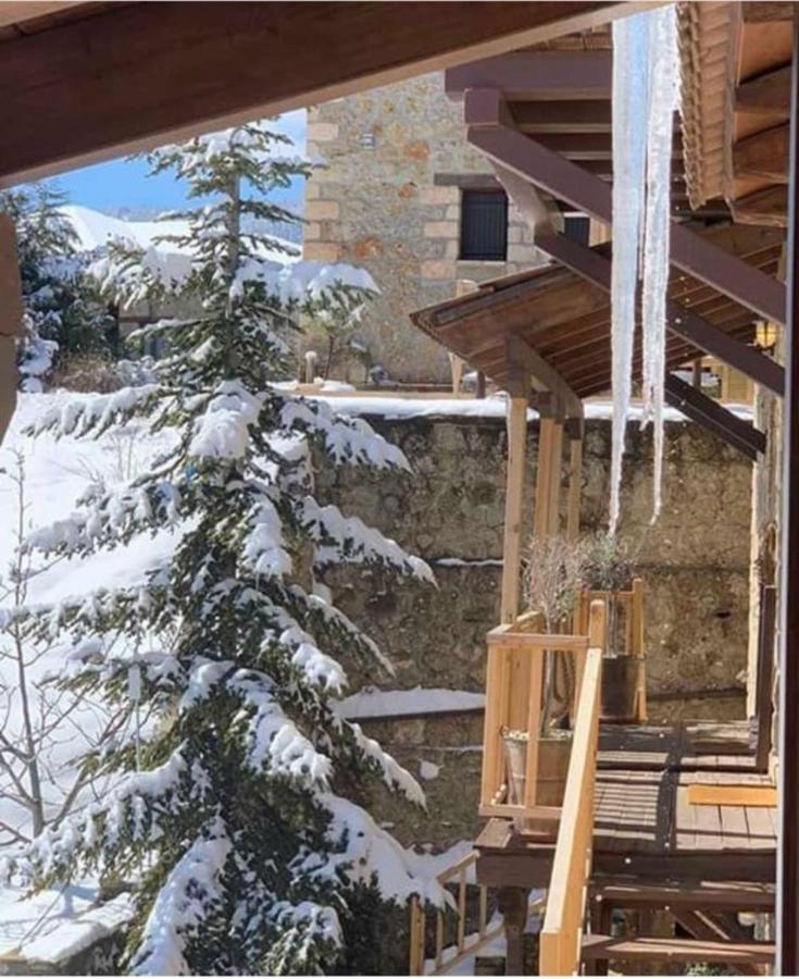 Nymfes Guesthouse Synikia Mesi Trikalon 외부 사진